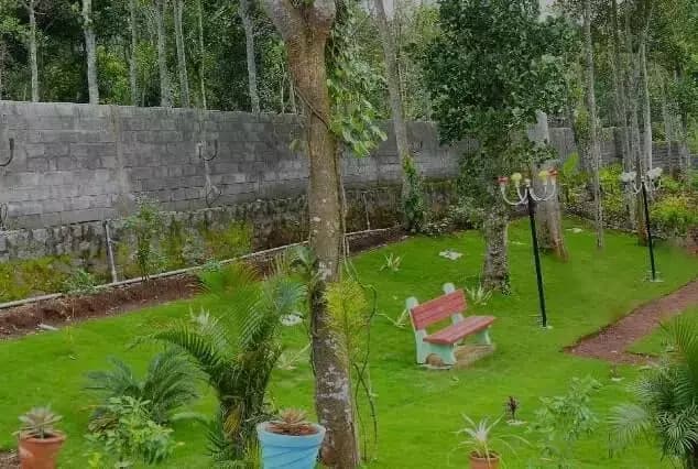 Garden lawn with seating and trees