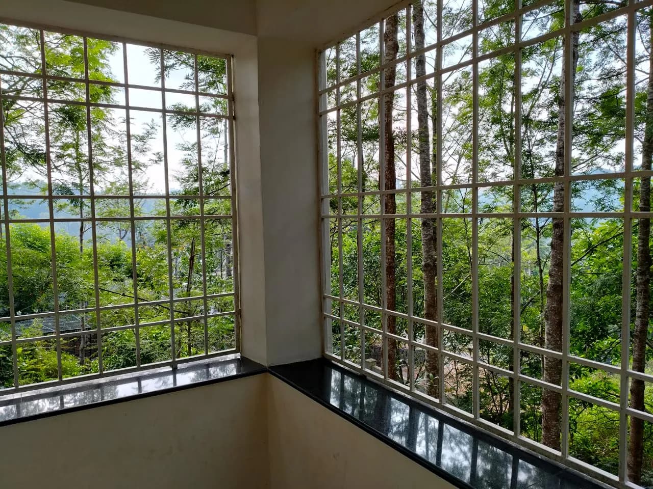 Corner windows overlooking greenery